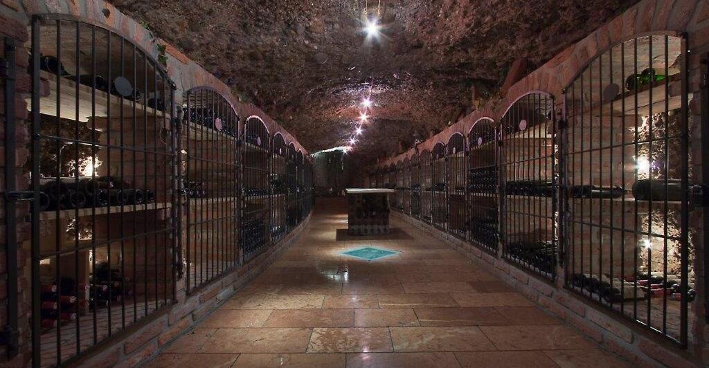 Wein-Wissen-Ein-Keller-voller-Sch-tze