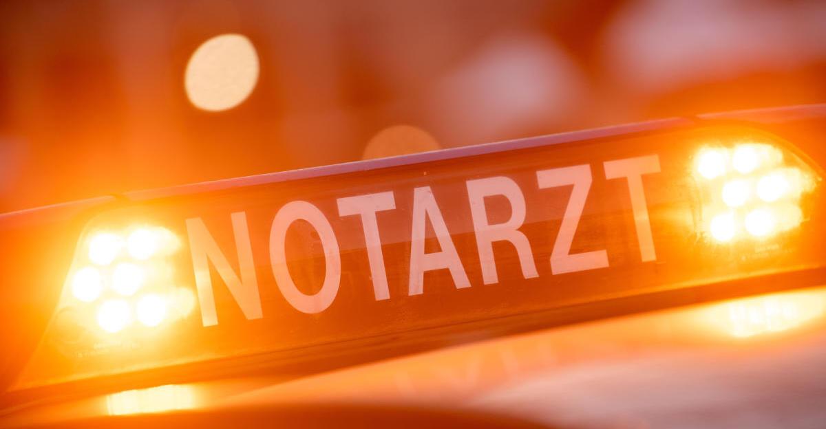 Head-on collision with tree: Driver (41) seriously injured in Innerleiten
