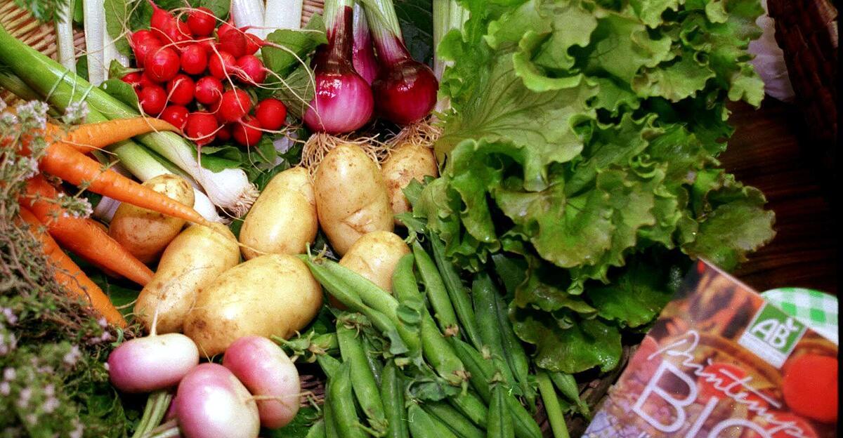 Studie enthüllt: Nachhaltige Ernährung senkt Krebsrisiko deutlich!