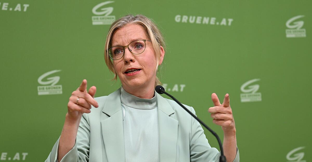 Greens criticize the coalition: “World champions at making announcements”