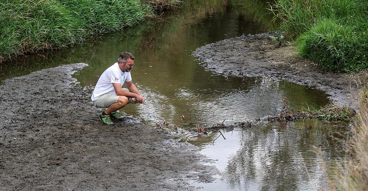 Urfahr collection channel is the last refuge for the fish of the Haselbach
