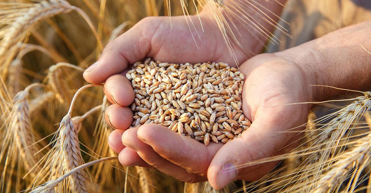 New genetic engineering: Myths and facts