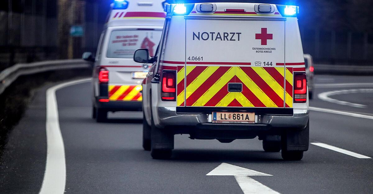 Police operations in Sattledt and Laakirchen: Two men (19 ...
