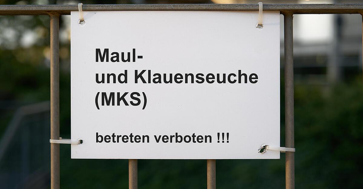 Foot and mouth disease is likely to slow down German meat exports