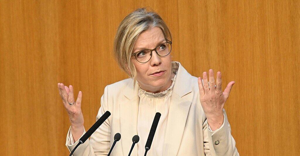 Despite harsh criticism: Greens agree to fuel price cap