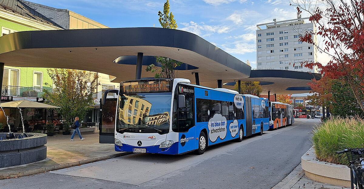 Platzhirsch sabtours verliert Welser Linienverkehr