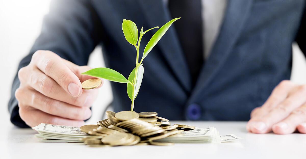 Grüne Finanzierung Rettung der Welt oder eher enorme Klimabürokratie