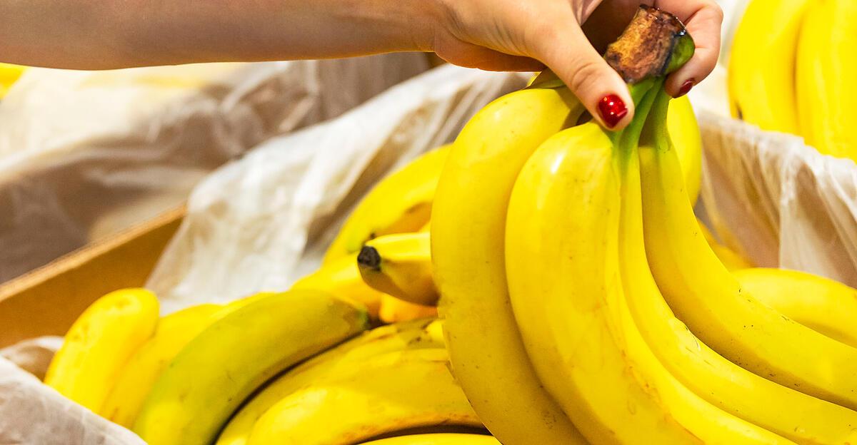 Obst Im Wert Von 62 000 Euro Unterschlagen Nachrichten at obst-im-wert-von-62-000-euro-unterschlagen-nachrichten-at