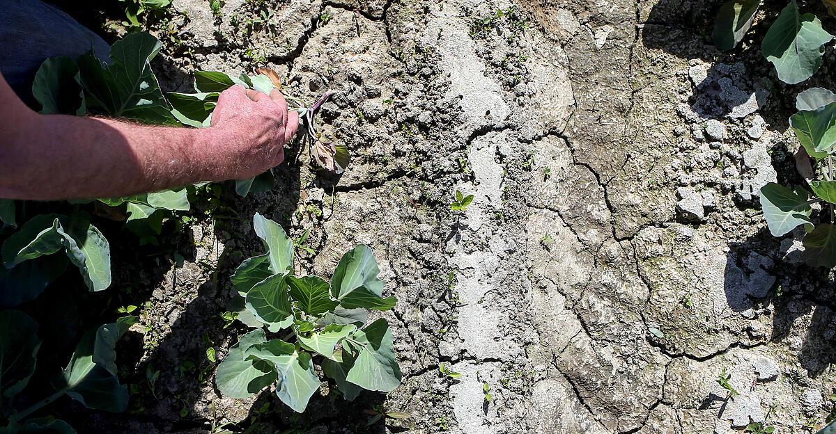 What the dry and snow-poor winter means for groundwater