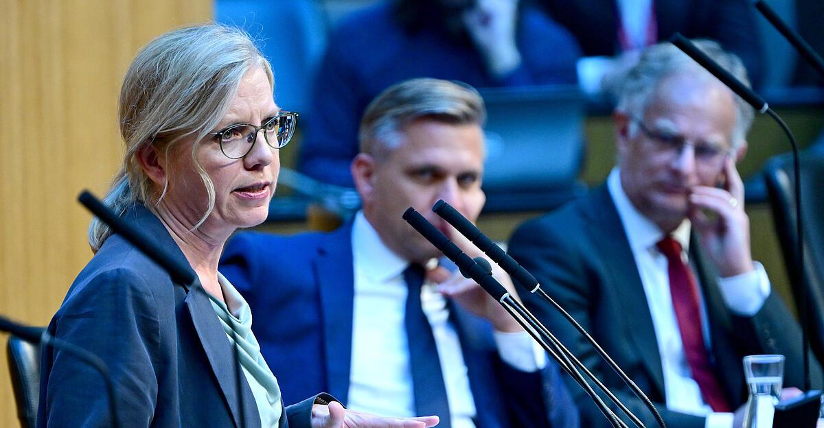 Fuel price cap comes from April: Greens reluctantly agreed