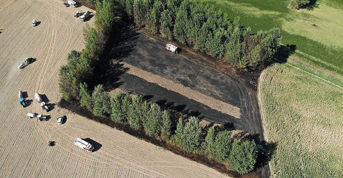 Seven fire brigades extinguished field and forest fire in Perg