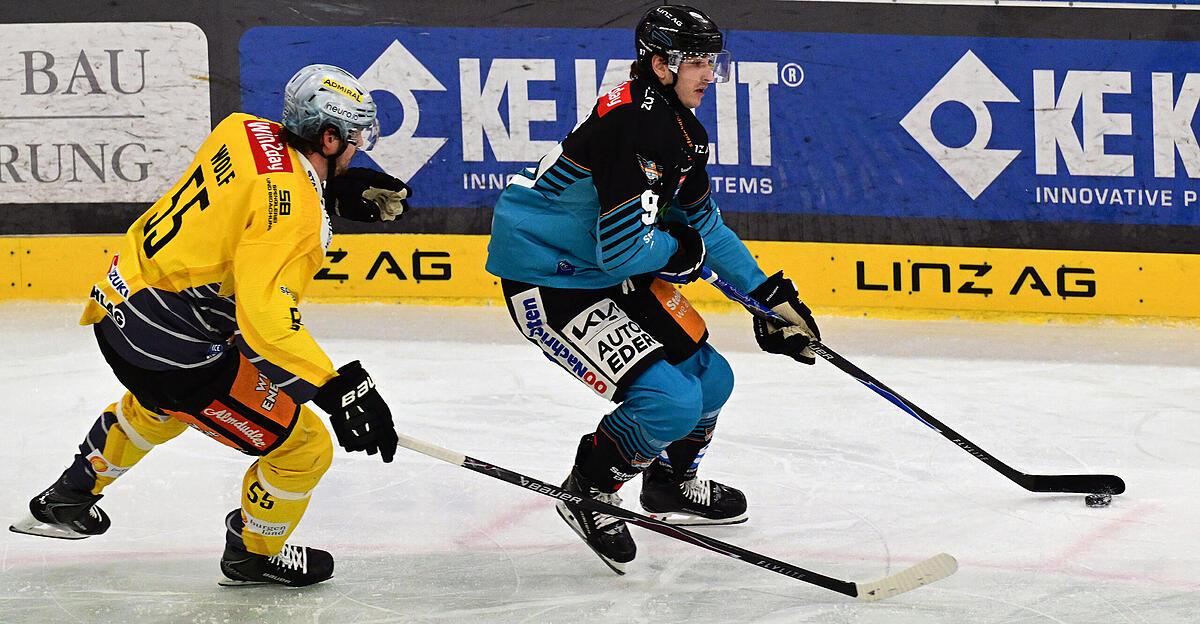 LIVE: Black Wings empfangen Olimpija Ljubljana