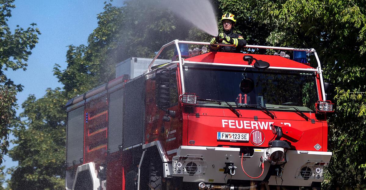 Forest fires: |