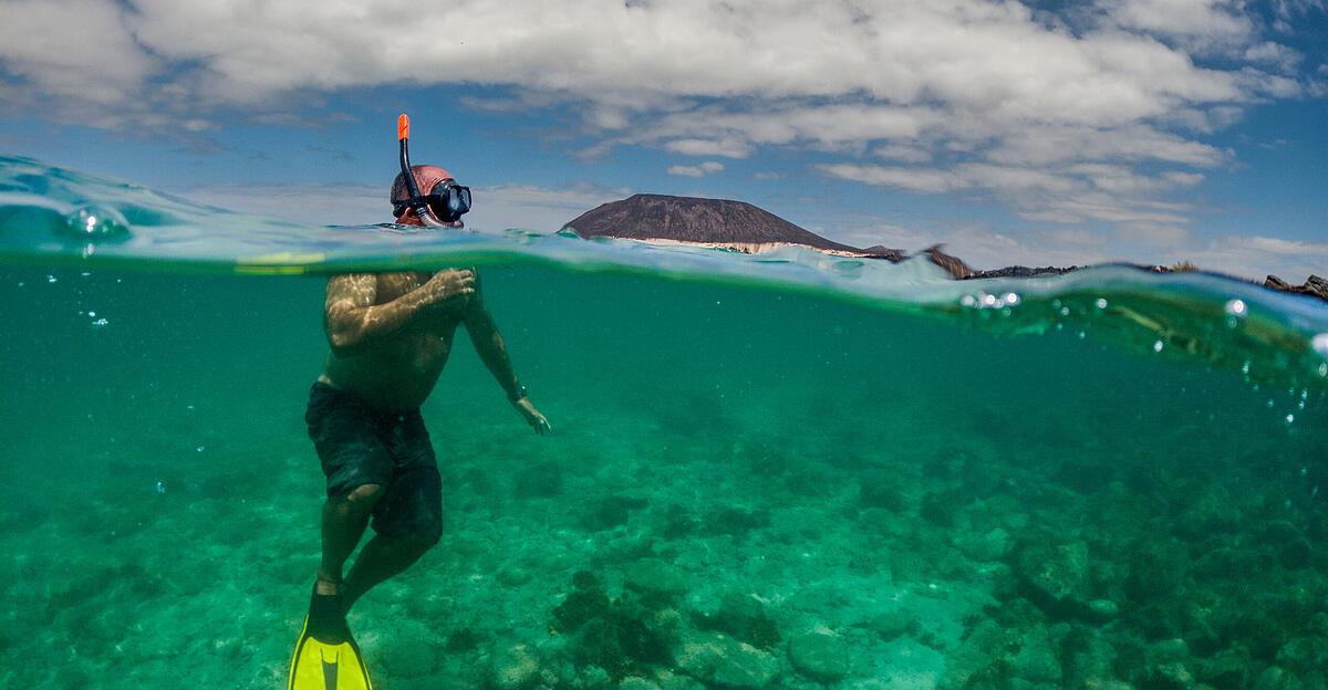 Linz woman receives prosthesis after shark attack: |