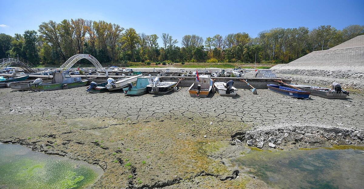 Only nine centimeters left: What the Danube is suddenly revealing
