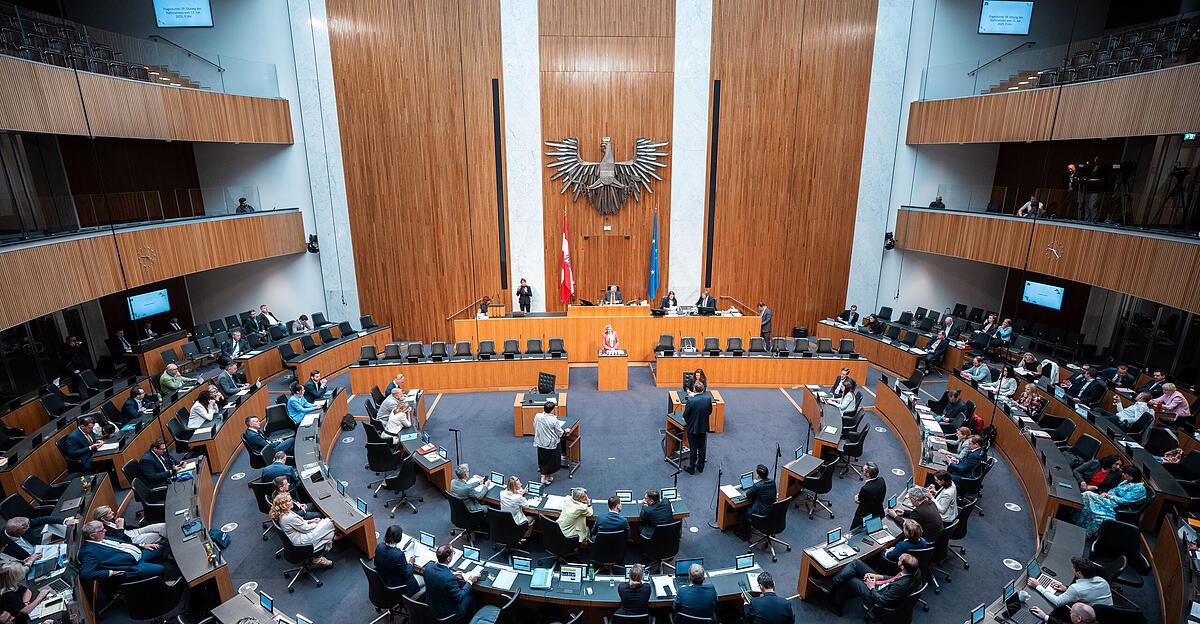 National Council: Greens make serious allegations against Hanke