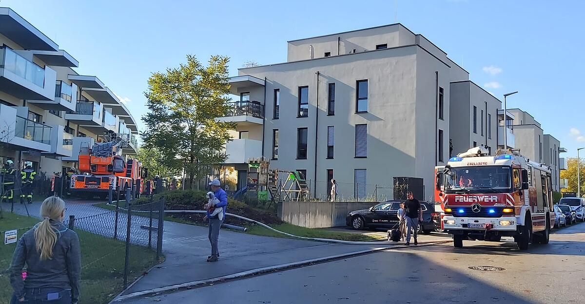 Incendie à Ebelsberg : les pompiers ont sauvé 2 chats d’un appartement enfumé