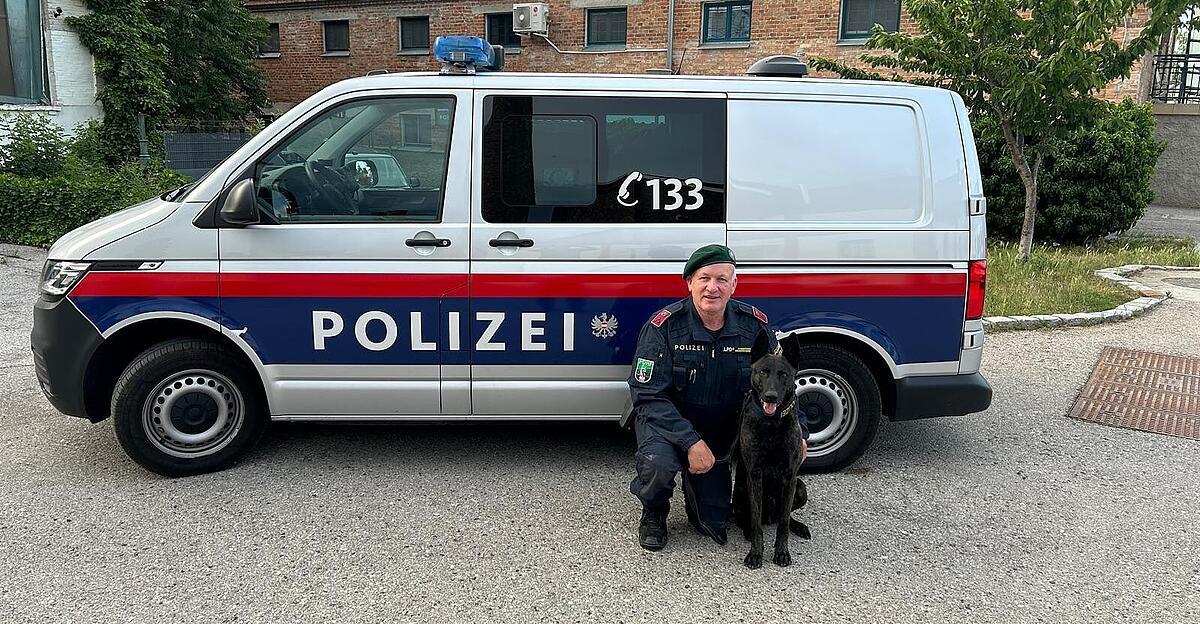 Polizeihund spürte entflohenen Häftling im Bezirk Neunkirchen auf