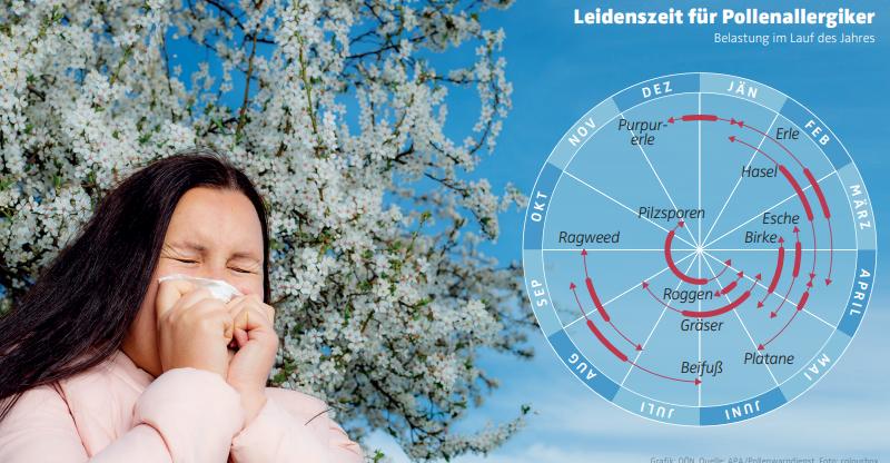 Pollensaison Pollensaison 2023: Klimawandel verursachte heftigen Frühstart ...