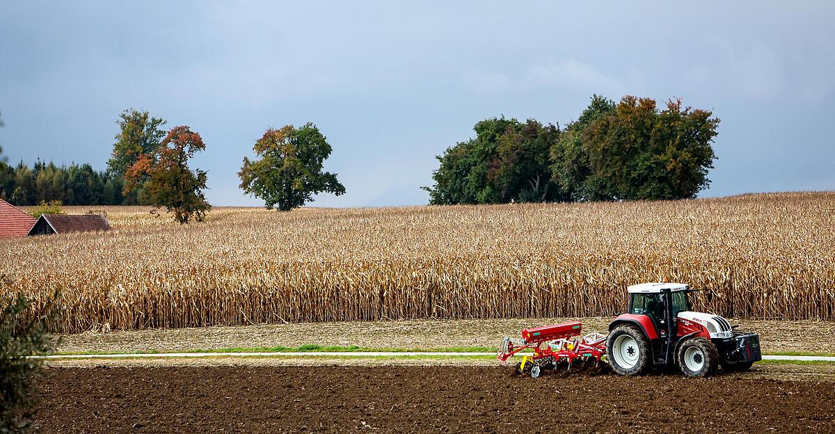 EU states vote for Mercosur agreement