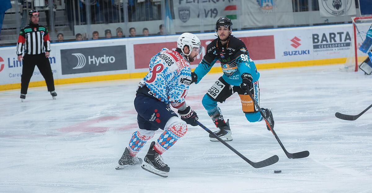 Den Black Wings fehlte auch in Szekesfehervar der