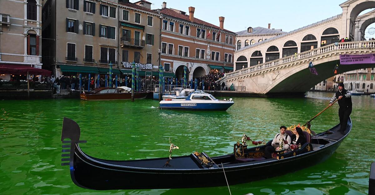 Des militants verdissent le célèbre Grand Canal de Venise